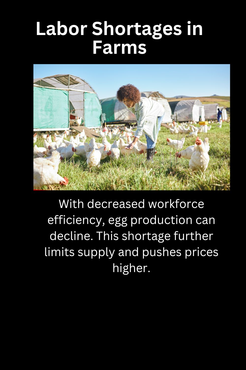 Labor Shortages in Farms