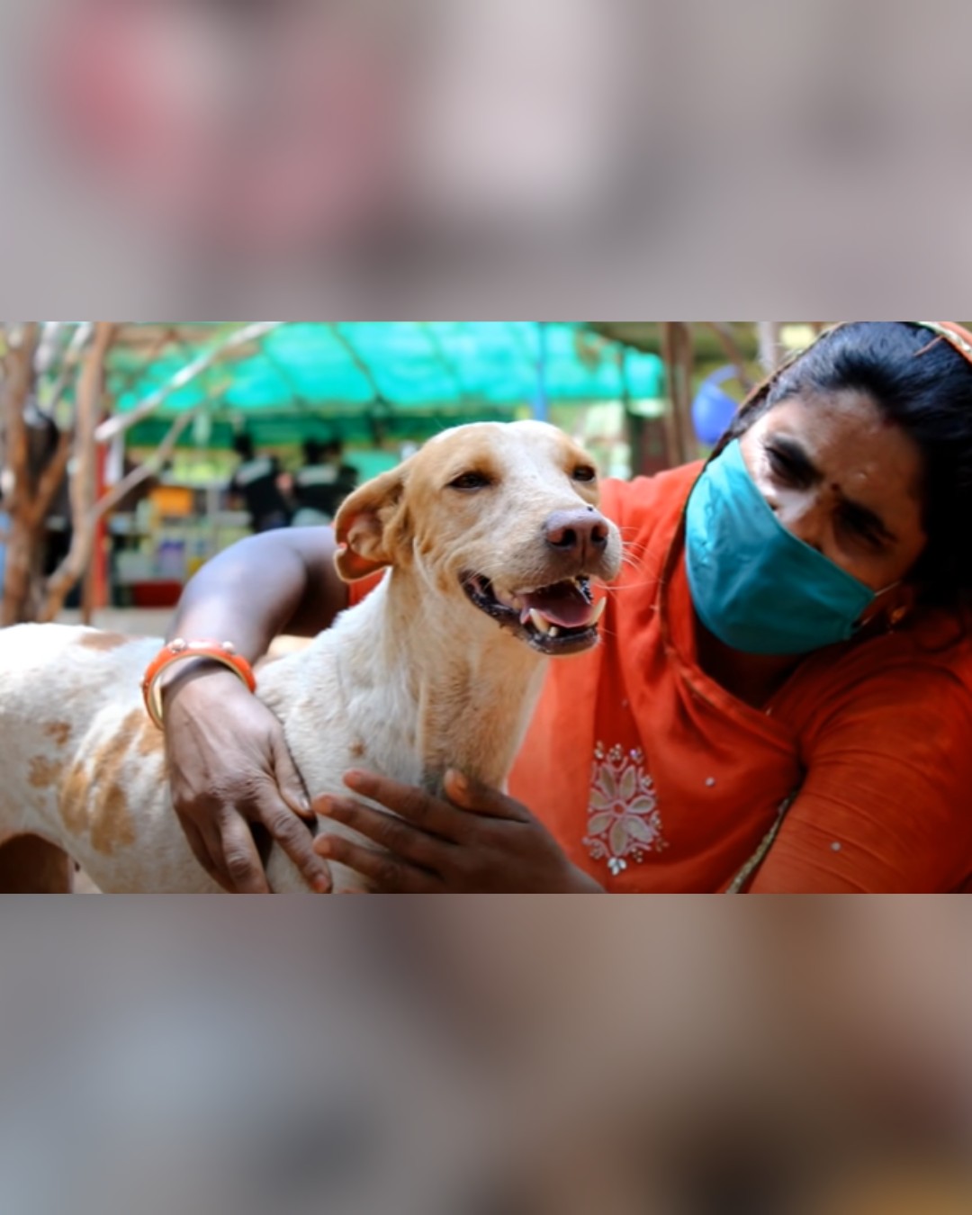 Dog fully recovered and enjoying life