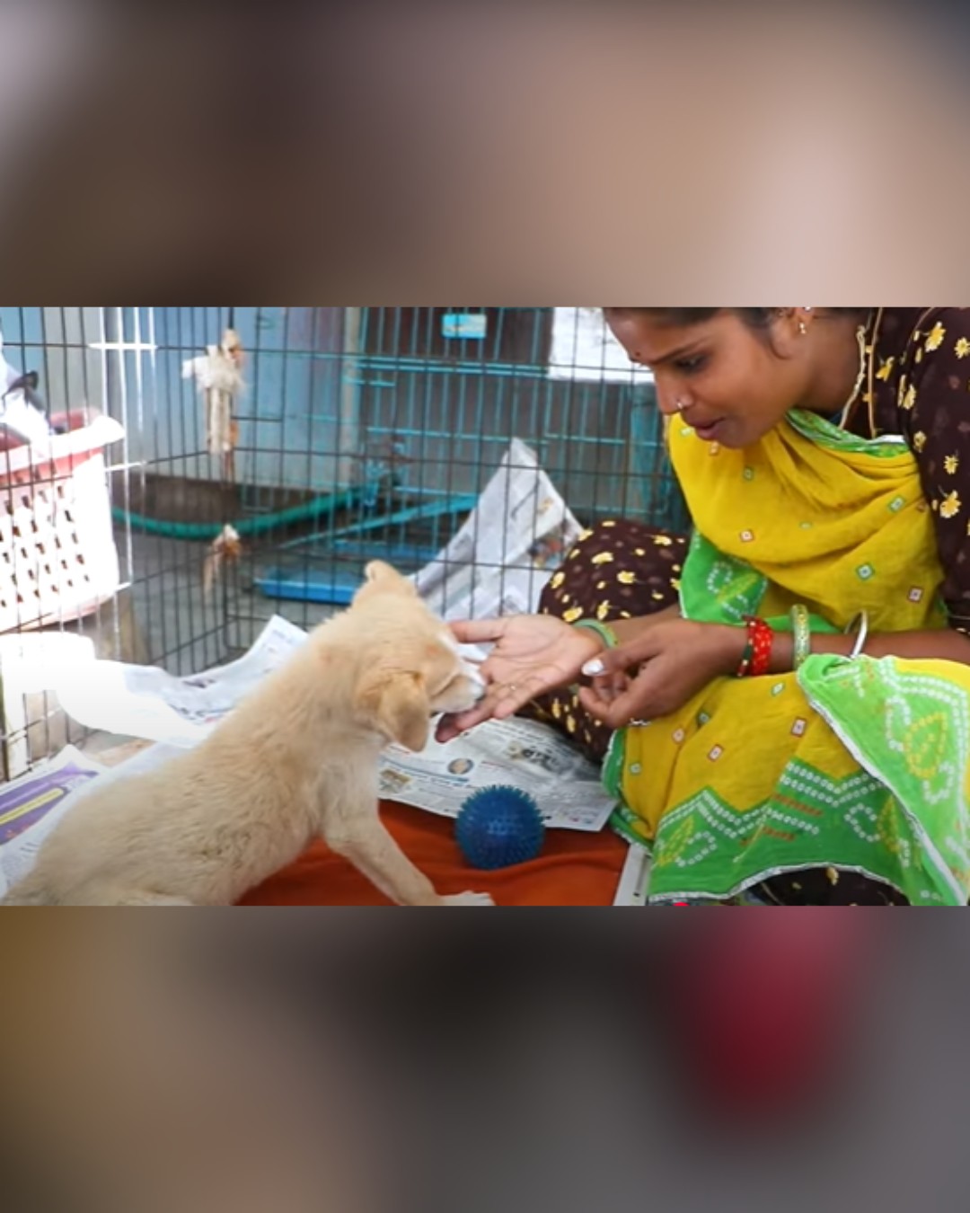 dog interacting with rescuer