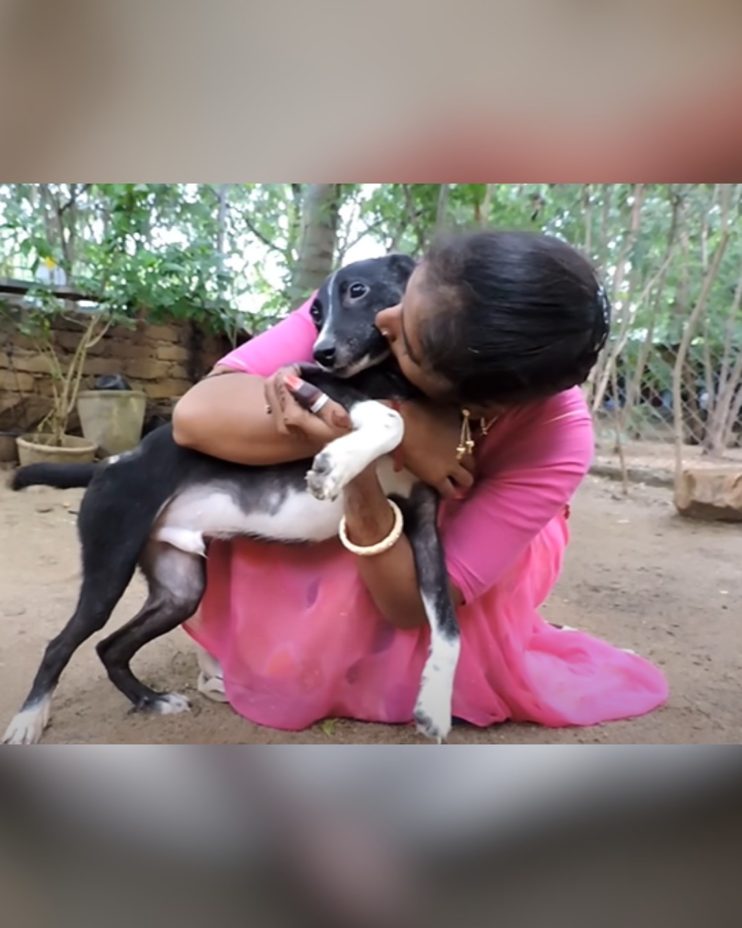 dog receiving love from rescuer