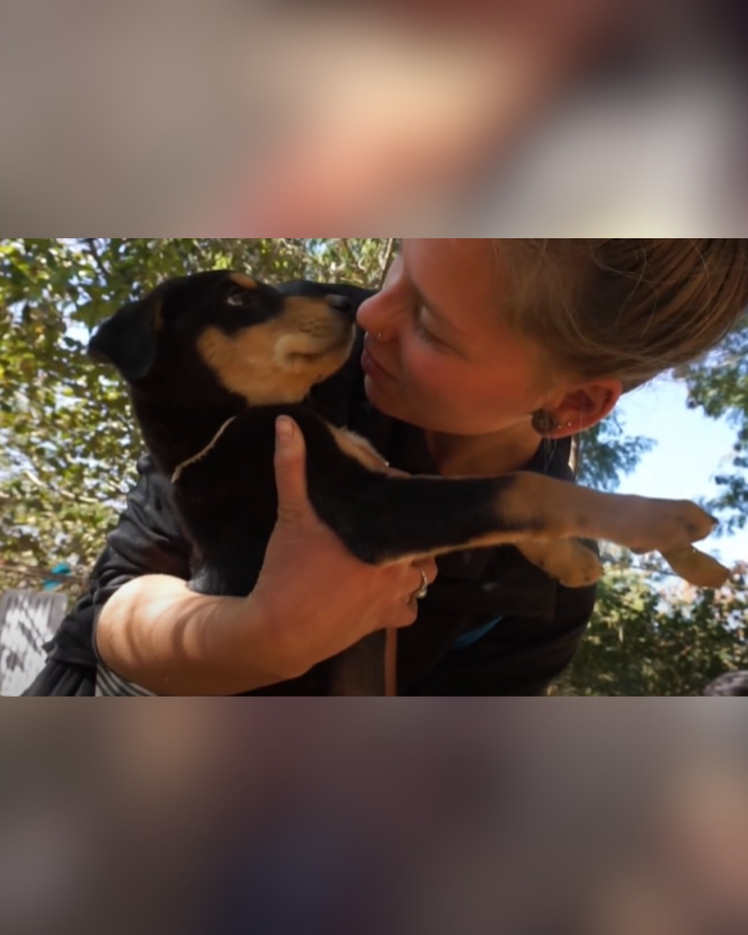 rescuer embracing happy rescued dog