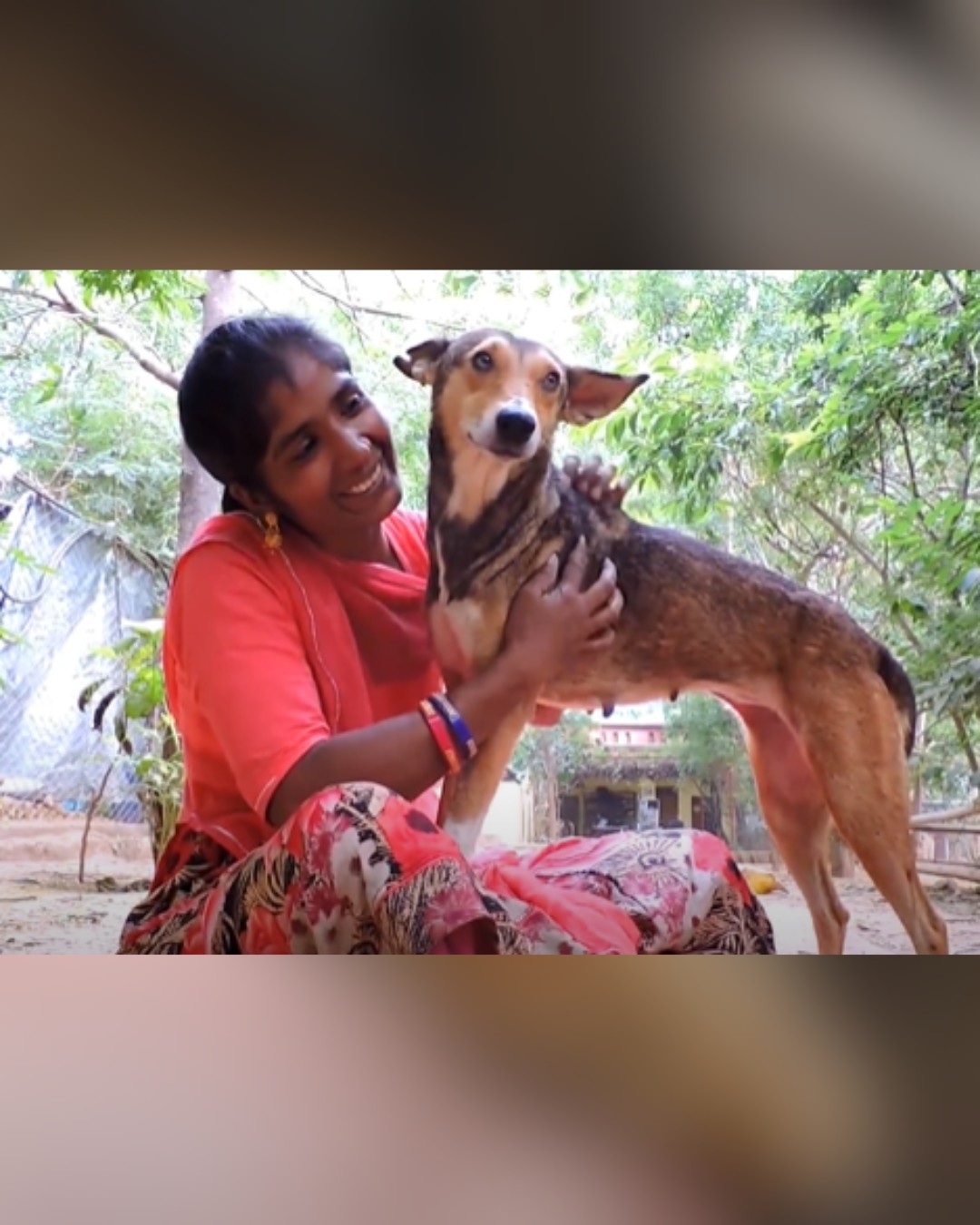 recovered dog showing signs love and trust