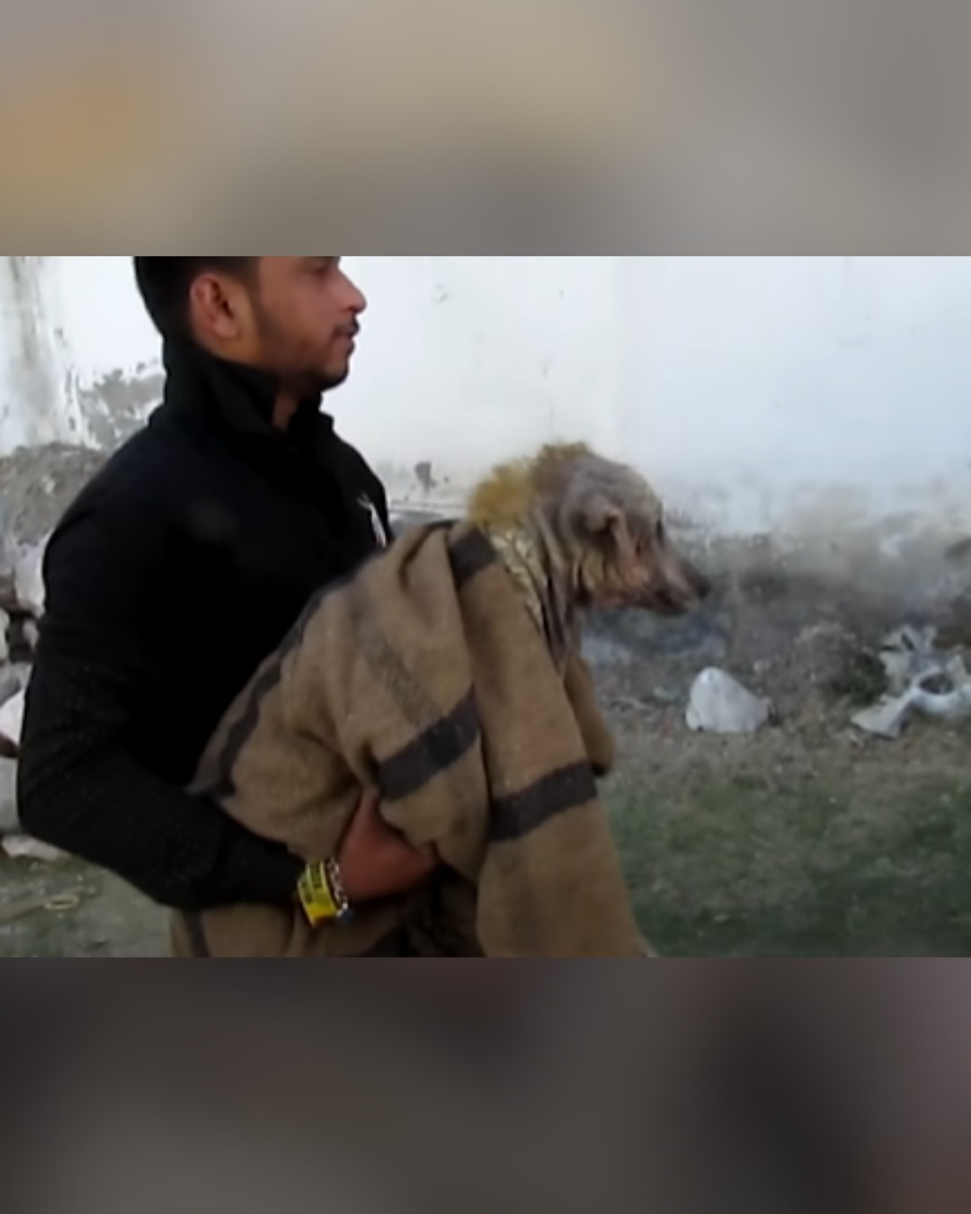 Dog wrapped in blanket after rescue