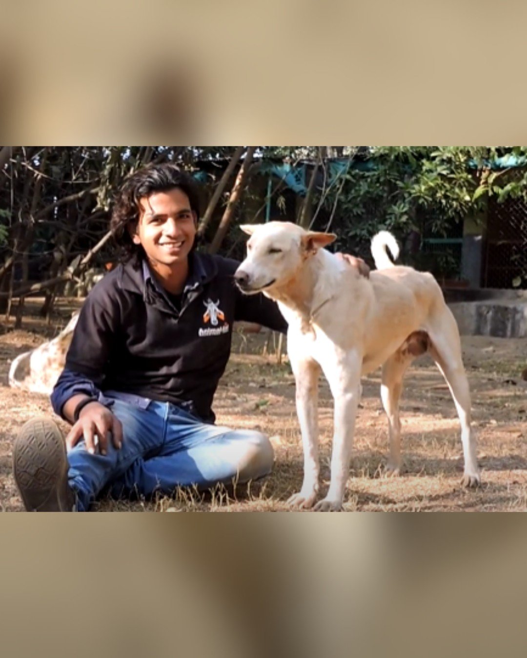 Happy and Healthy Dog After Recovery