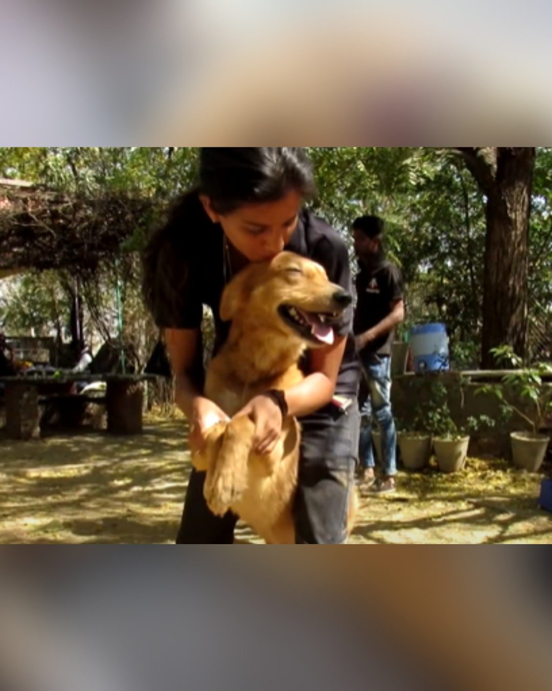 Happy and healed dog after two months of treatment