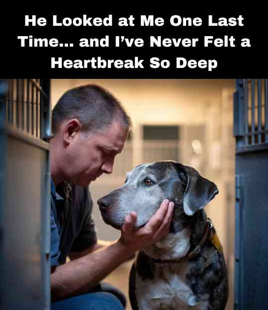 He Looked at Me One Last Time… and I’ve Never Felt a Heartbreak So Deep