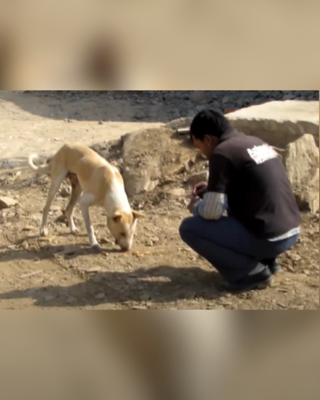 Rescue Team Approaches the Dog