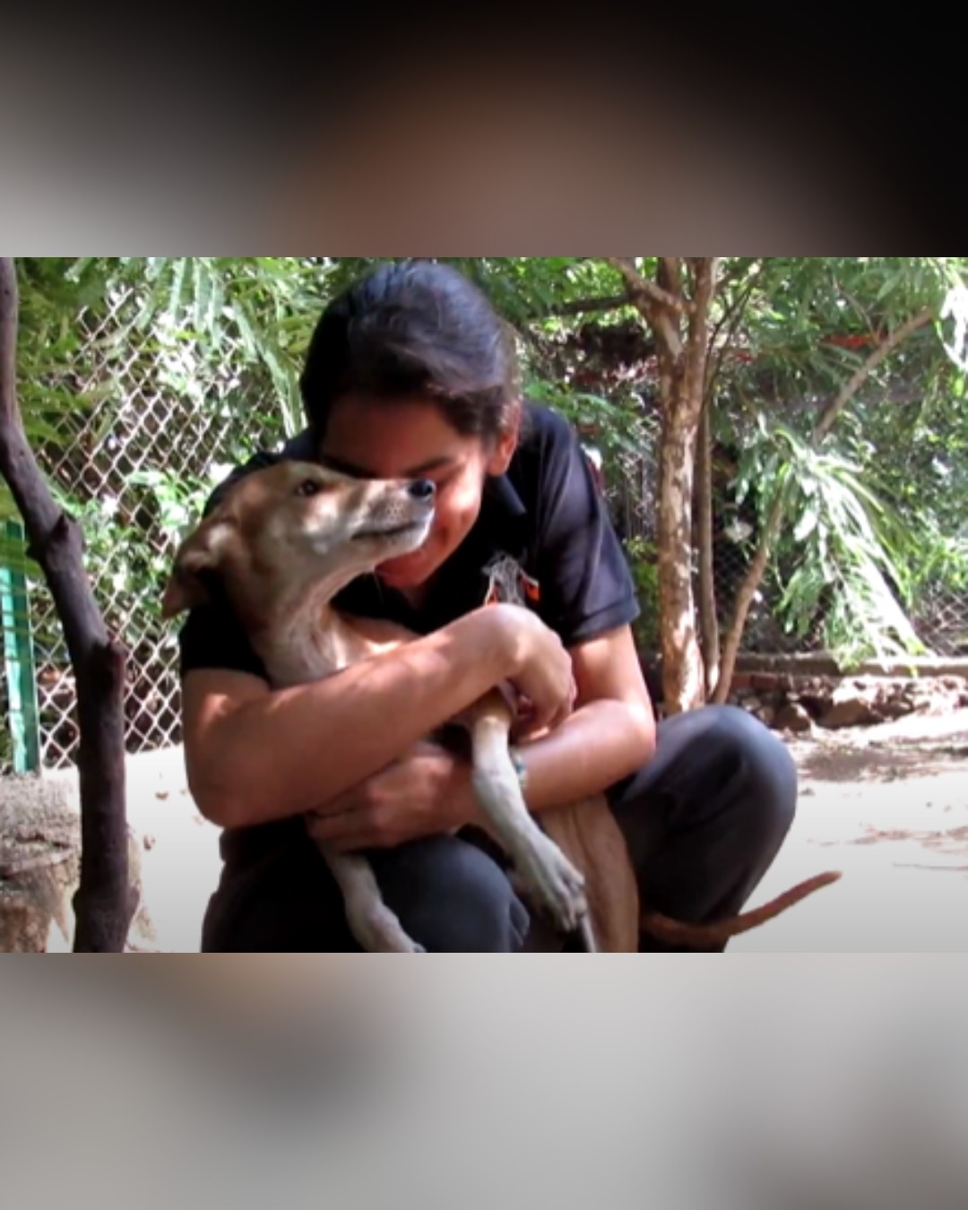Rescued dog receiving love and care from a rescuer