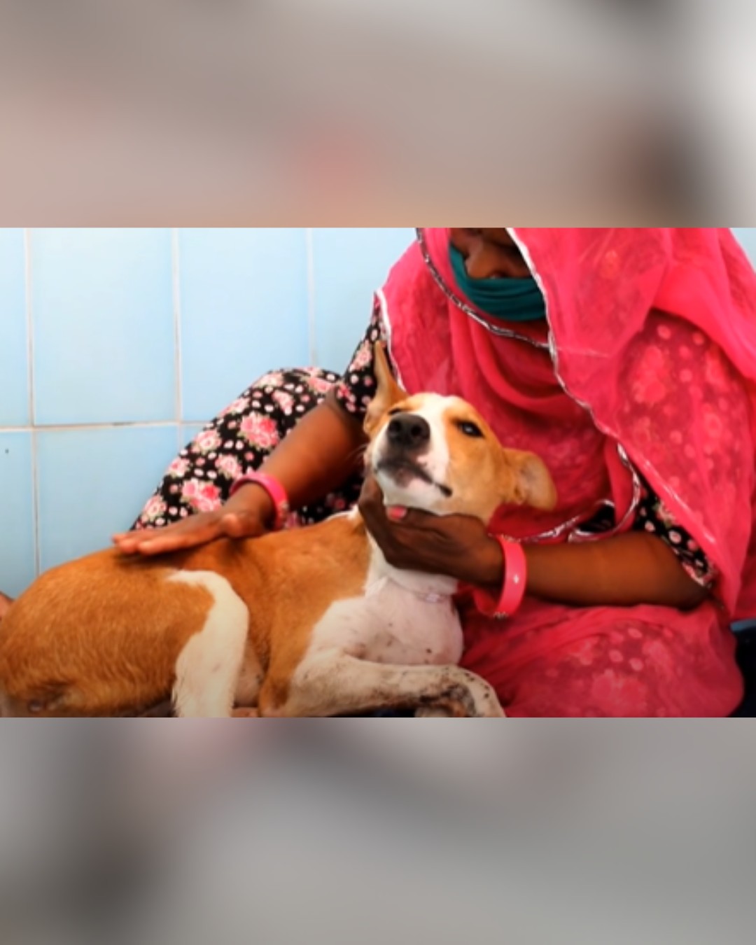 Rescuer giving comfort to recovering dog