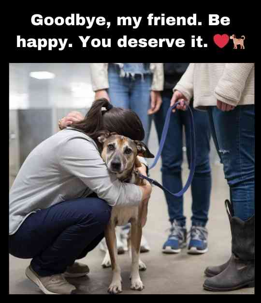 dog finally adopted