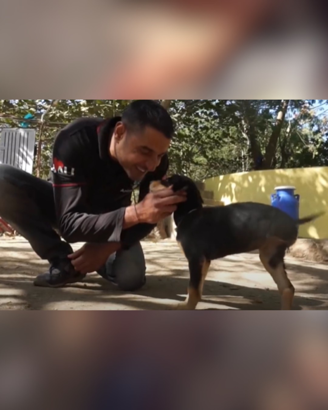 happy three-legged dog playing with rescuer