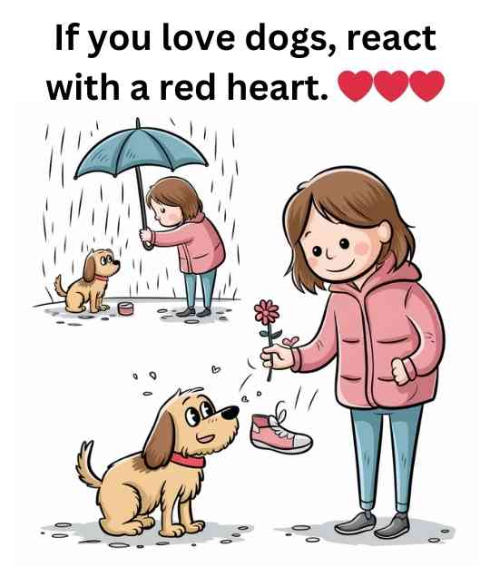 if you love dogs