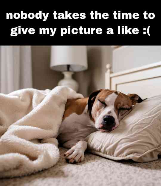 nobody takes the time to give my picture a like