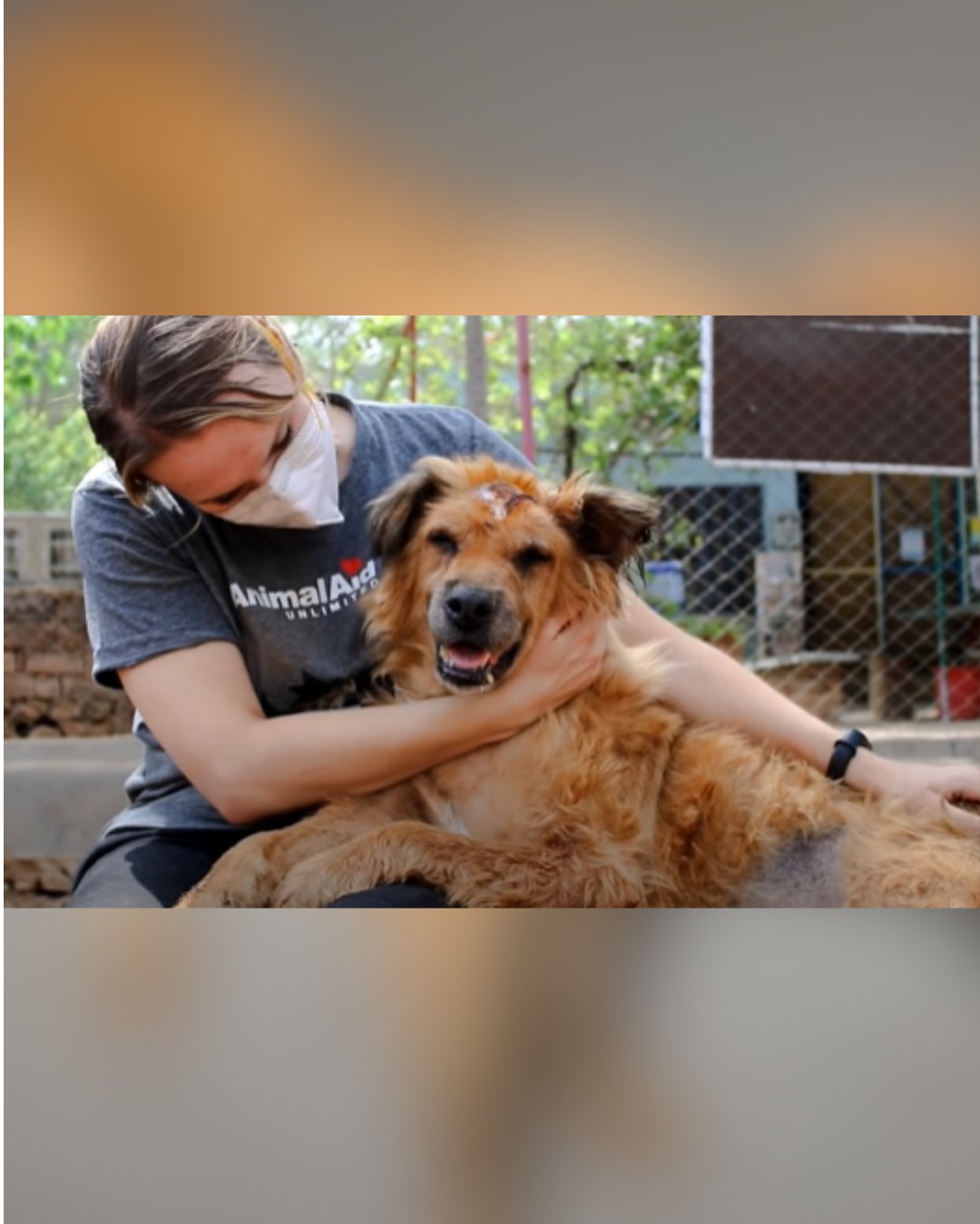 rescuer hugging happy recovered dog
